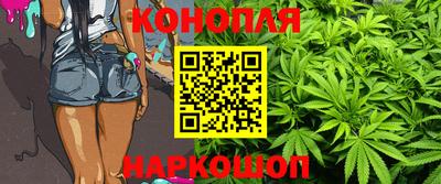 ГАЛЛЮЦИНОГЕННЫЕ ГРИБЫ Кингисепп